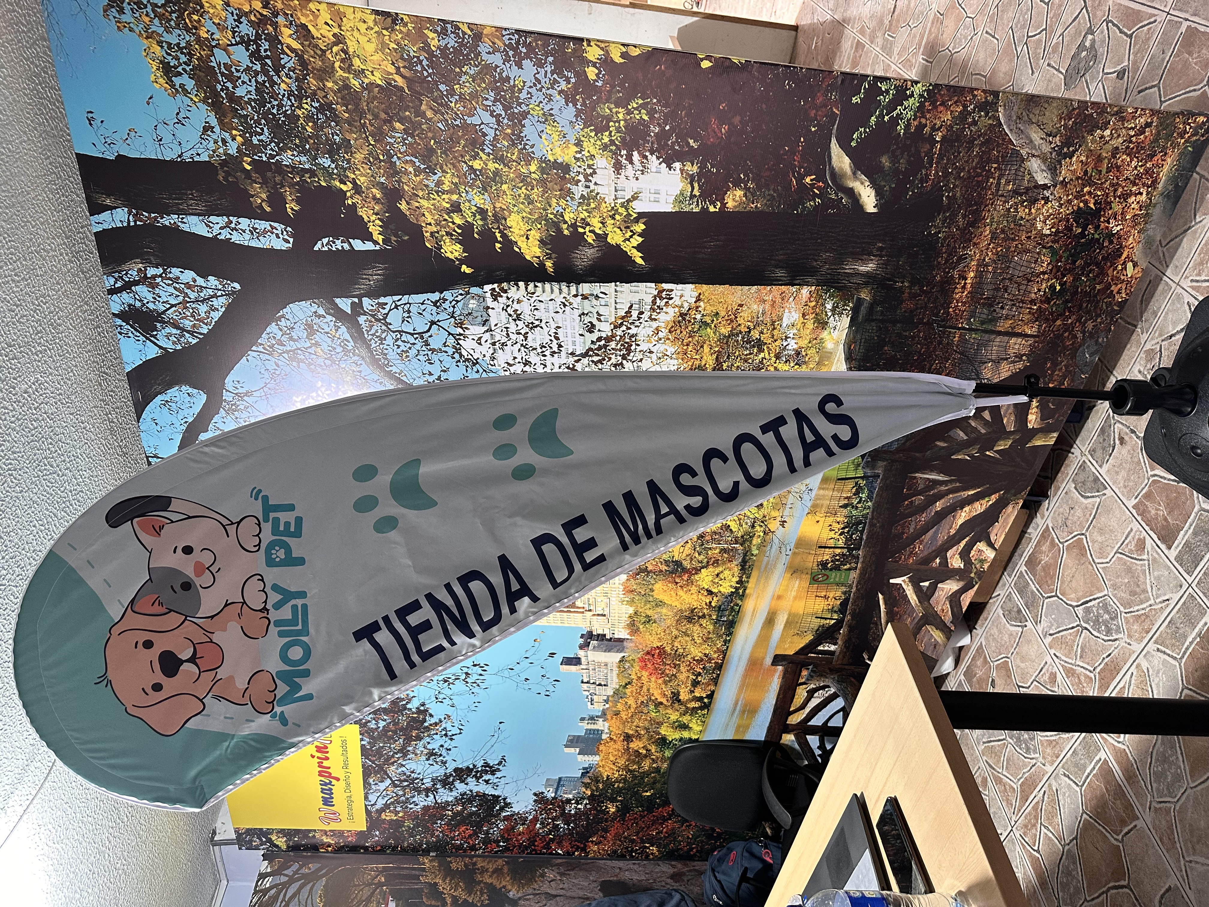 Trabajo 4
